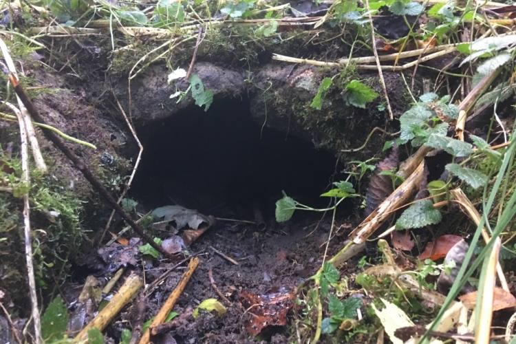 Collapsed bywash pipe at Charlesworth Lock, November 2017