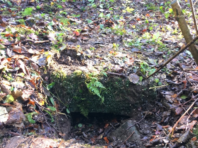 Collapsed bywash pipe at Charlesworth Lock, November 2017