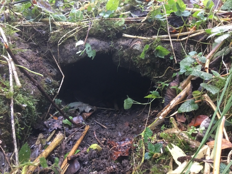 Collapsed bywash pipe at Charlesworth Lock, November 2017