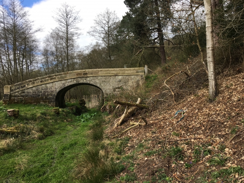 Bridge 70 from the offside, April 2019