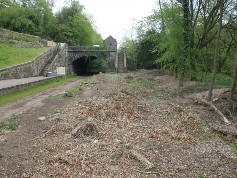 Alton Tunnel in May 2010