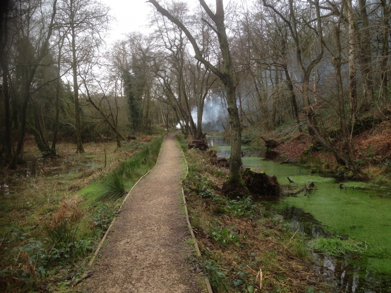 Towpath and canal near to Bridge 70