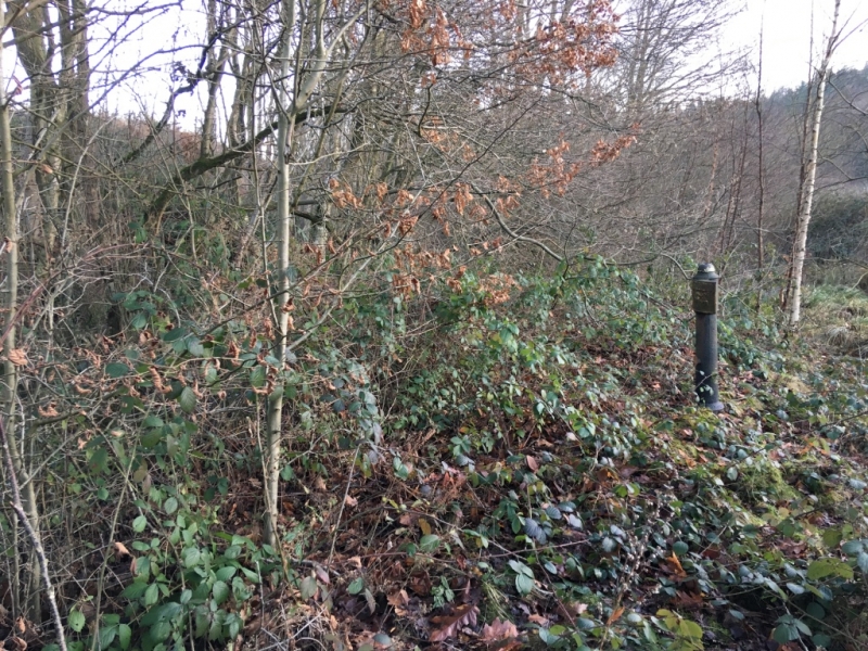 Milepost 19 showing the overgrown towpath in January 2017